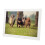 Video Playback WiFi Digital Picture Frame HD Touch Screen Instant Photo Sharing Auto-Rotate Absolute Privacy Security Cloud-Based Storage 5