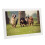 Video Playback WiFi Digital Picture Frame HD Touch Screen Instant Photo Sharing Auto-Rotate Absolute Privacy Security Cloud-Based Storage 6