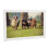 Video Playback WiFi Digital Picture Frame HD Touch Screen Instant Photo Sharing Auto-Rotate Absolute Privacy Security Cloud-Based Storage 7