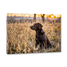 Tablou pe pânză cu Labrador Retriever Chocolate, poster înrămat 30x40 cm pentru sufragerie, dormitor, birou și multe altele