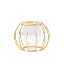 Bright Color & Hollow Design, Home Decorative Vase with Clear Glass Test Tube, Metal Plant Holder for Living Room, Bedroom & Bookstore Decor