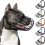 Amstaff Muzzle Breathable Basket Compatible with Large Pitbull Dogs XX Model 2