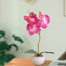 Orchidea Phalaenopsis Bonsai in seta realistica, fiori artificiali realistici in vaso di ceramica, elegante decorazione per la casa, centrotavola per