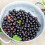 Blackcurrant Ribes Ben Alder | Deciduous Fruit Plant Shrub | 30-50cm Potted 3