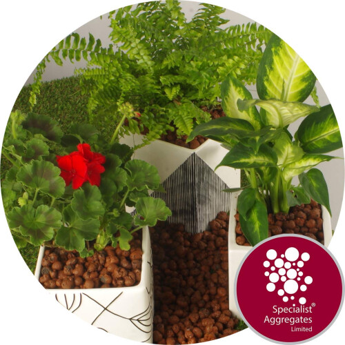? - Leca LWA - Flower - 10Ltr - 10ltr 2