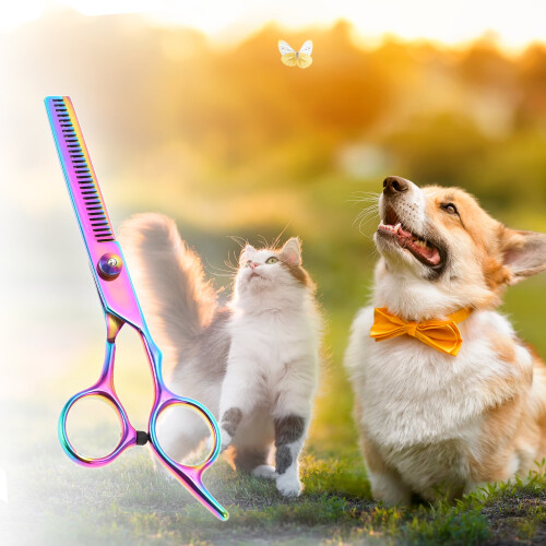 Tesoura de tosa para cães, 1 unidade, 5,5 polegadas, cores sortidas, aço inoxidável. 1