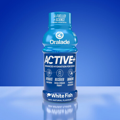 Oralade Active Fish 250ml x 6 2