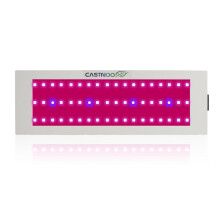 Lâmpada LED de cultivo aprimorada, iluminação hidropônica de espectro completo para ambientes internos, com tecnologia eficiente de chip duplo e