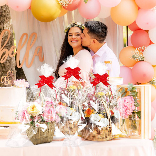 Clear cellophane gift bags with bows 5 pcs