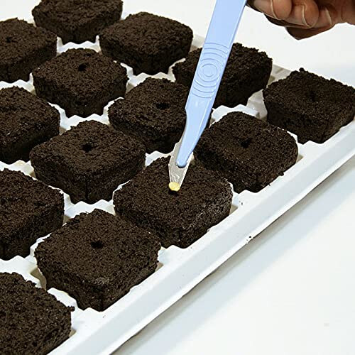 Growth Technology Root Riot Tray (24) 2