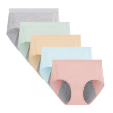 Women's Menstrual Period Panties Cotton Leakproof Underwear Protection Briefs 5 Pack