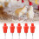 Chicken Water Nipple Drinkers 100PCS Automatic Poultry Feeder & Drinker System 6