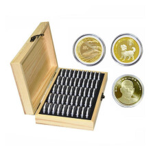 Poetic Wooden Coin Collection Box, Adjustable Coin Capsule Storage for Artful Display