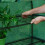 Gardman Grow It Premium 4 Tier Extra Wide Growhouse 4