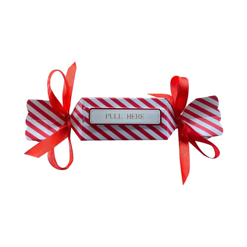 Christmas ziplock bag set with bow pull-out clips 1