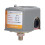 Easy To Use Water Pressure Control Switch220V AC Automatic Mechanical Switch Adjustable Dual Spring Excellent Pressure Switch Low Pressure Cut Off 5