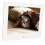 Remote Control Digital Photo Frame, 8Inch IPS Screen Touch Screen High Resolution Adjustable Brightness Digital Picture Frame Auto Rotate Wall 5