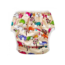 Reusable Absorbent Swim Diaper for Babies and Toddlers