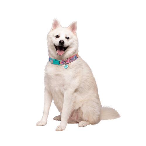Squishmallows Hundehalsband, groß 1