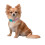 Squishmallows Hundehalsband, klein 2
