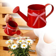 Metal Watering Can for Indoor and Outdoor Gardening with Gentle Sprinkler Spout