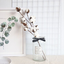 Naturally Dried Cotton Stems – Preserved Cotton Branches for Vase Arrangements, Wedding Bouquets & Tabletop Decor (White)
