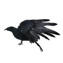 Sztuczne ptaki, figury kruków naturalnej wielkości z realistycznymi czarnymi krukami o piórach, dekoracja na Halloween dla ptaków na zewnątrz