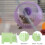 4Pièces Abri Hamster PVC Double Couche Pour Animaux Petits 10