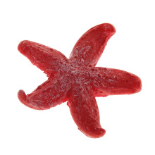 1 Stück bunte Mini-Korallen-Dekoration, künstliche Korallen für Aquarien, rot, 4,3 x 4,3 cm