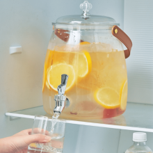 Bollitore per bevande fredde da 3 litri con rubinetto – Dispenser di bevande in plastica per casa, cucina, campeggio, feste (0,79 galloni),