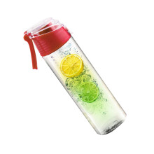 Bouteille d'eau FRCOLOR rouge avec infuseur à fruits, format 800 ml, en plastique portable, idéale pour la randonnée et le camping. Parfaite pour