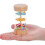 5St Cognitieve Regenmakers, Interactieve Muzikale Speelfiguur 6