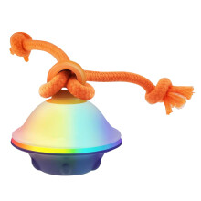 LED Cat Toy and Squeaky Latex Dog Chew Toy for Medium Dogs