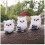White Plush Owl Ornaments 2.95-Inch 3-Pack 1