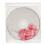 30Pcs Transparent Cd Case for Media Storage Portable Dual Disc Package 5