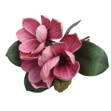 Kunstmatige magnolia's (4 stelen), handgeschilderd, realistisch boeket van nepbloemen voor tafeldecoratie, thuis, op kantoor en bruiloften.
