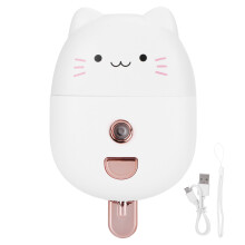 Facial Moisturizer Sprayer, Mini Cartoon Design Portable Humidifier With Ultrasonic Vibration And Safe Durability