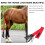 Horse Tail Protector Non-Woven Fabric 1set 70x8cm 9