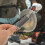 Durable Metal Saw Machine Spring for Garden Cutting Tools Black 6