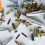 500 Pcs Rubber Screw Cover Protective Bolt Covers Round End Caps 5