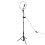 Special Effects RGB LED Ring Light LED Selfie Ring Light with3Modes Adjustable Brightness Color Temperature Switch Smartphone Mount Wireless Remote 2