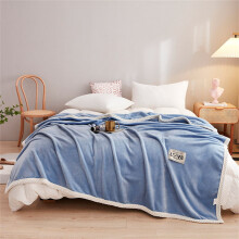 Queen Size Bed Blanket Heavy Sherpa Fleece Ultra Warm Thick Plush Cozy for Winter Season and All Seasons Use 60x80 Inches