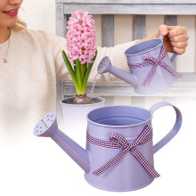 Metal Watering Can for Gardening Indoor and Outdoor Care with Efficient Sprinkler