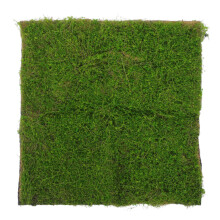 Kunstmos Tapijt Voor Binnenplanten En Decor
