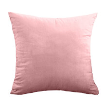 Velvet Cushion Decorative Throw Pillow 17.7x17.7 in