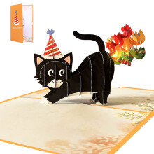 FEAMOS Birthday Card,3D Rainbow Cat Birthday Card with Sound and Light Greeting Cards Fun and Unique for Kids Daughter Women Men Kids