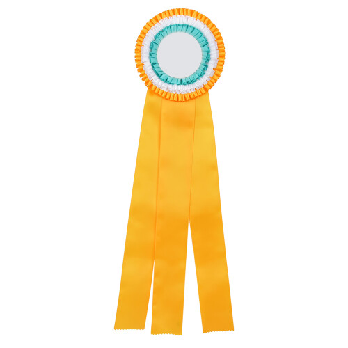 Deluxe Ribbon Rosette Badge Pin Award 2