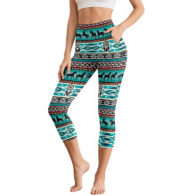 HELlHERO Yoga Leggings in Azteekse stijl met paardenprint voor dames, hoge taille, capri legging, elastische yogabroek, capri voor workouts en de
