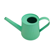 Style Mini Indoor Watering Can Metal Kettle for and Succulent Gardening Decorative Desktop Sprinkler