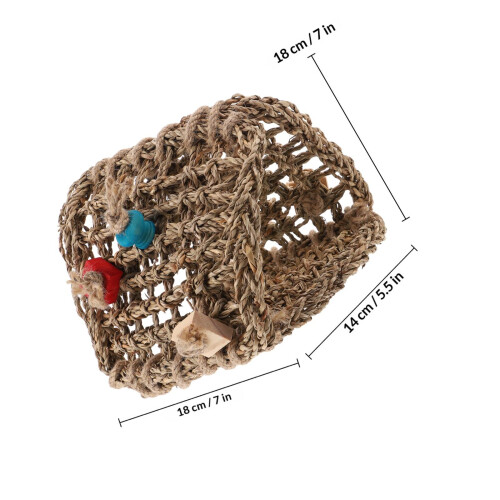 Bed Hangmat Van Papegaaien 1